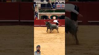Toro Arena Valencia Spain