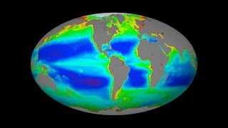 News Telecon: Carbon & Climate