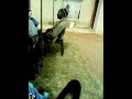 Thokozani bogogo nabomkhulu
