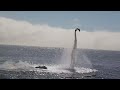 water sports