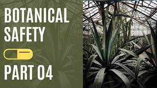EP-04 Ensuring Botanical Safety - Evaluating Botanical Ingredients: Dr Amy L Roe