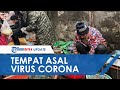 Penampakan Pasar di Wuhan yang Jadi Tempat Virus Corona Beras...