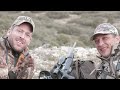 Fieldsports Britain - Hunting ibex, crow control, trout and ferreting