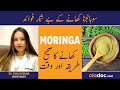 Moringa Ke Fayde - Health Benefits Of Moringa - Sohanjna Benefits In Urdu - Best Way To Use Moringa