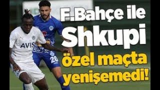 Fenerbahçe 2-2 FC Shkupi (Hazırlık maçı) özeti