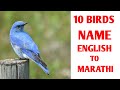😆😆10 Birds Name English to Marathi