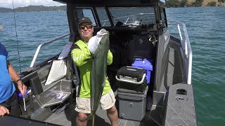 Fishy Business New Season Promo