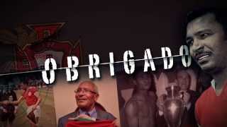 CdeGs9p-P-Y Video Image