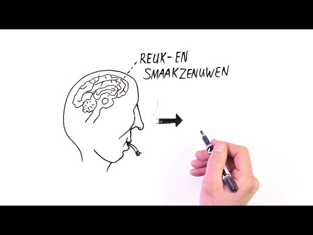 Watch ROKEN BEGIN ER NIET AAN on YouTube.