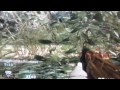 Ak47U Gold
