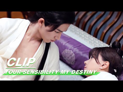 Clip: Sleep With A Stranger? | Your Sensibility My Destiny EP01 | 公子倾城 | iQiyi