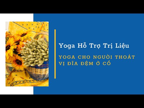 Yoga cho người thoát vị đĩa đệm -Bài tập trị liệu cột sống, đau cổ vai gáy-Phục hồi cột sống|AN YOGA