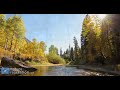 [4K] "Echoes of Nature" A 2 Minute Relaxation Video (ft. Travis Revell)