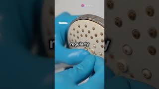 What Is Legionella