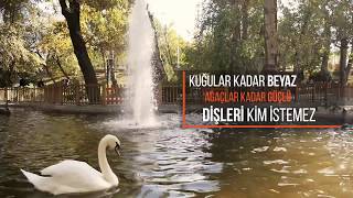 Adent Clinic Tanıtım Filmi ( PisiFilm)