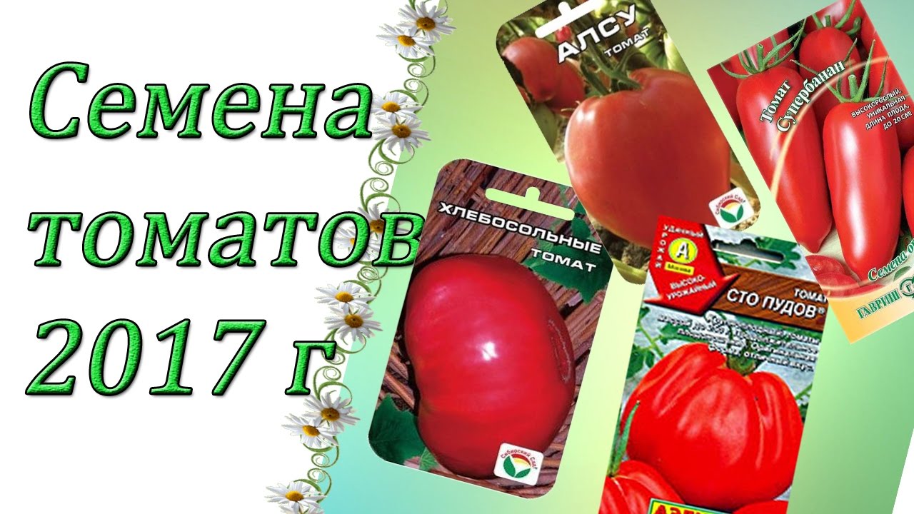 Новые сорта семян в этом году Новые сорта семян в этом году