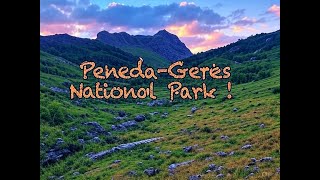 Peneda-Gerês National Park Portugals Wild Paradise