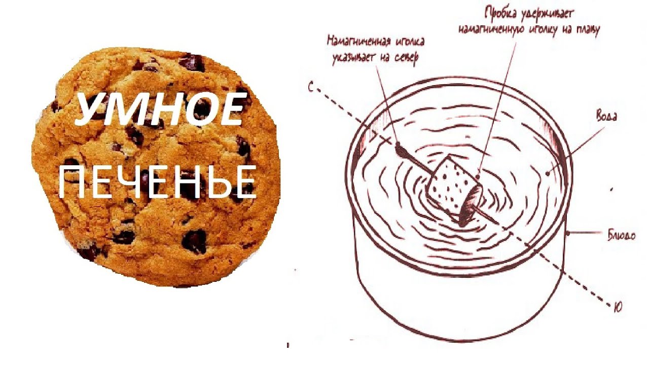 Делаем компас своими руками Делаем компас своими руками