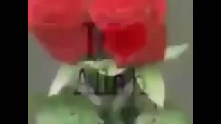 Ciid Sacidun Caleyna Wa Caleykum