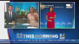 Congratulations Wbz-Tv Meteorologist Danielle Niles Pregnant With Baby No. 2