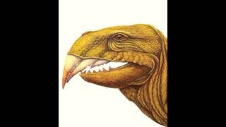 Cut-L-Tooth Roar