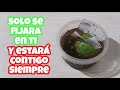 AMARRE PARA QUE SOLO TE VEA A TI (SOLO CON SU NOMBRE)