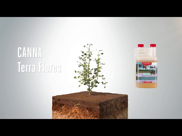 Watch (Polski) CANNA Terra Flores on YouTube.