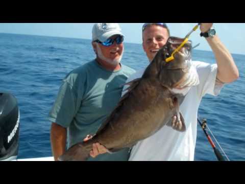 florida keys fishing. Florida Keys Fishing Sailfish,