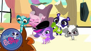 Littlest Pet Shop Summertime Blues Compilation Season 1 Pet Cartoon