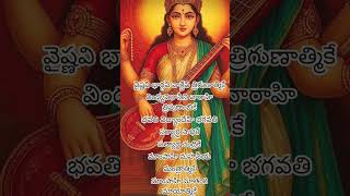 Vaishnavi Bhargavi Devi Naga Vaishnavi Havlogs2