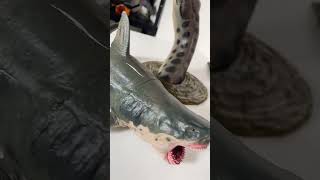 Lake Placid Vs Jaws Vs Anaconda