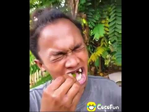 Video lucu tahan tawa 10 detik