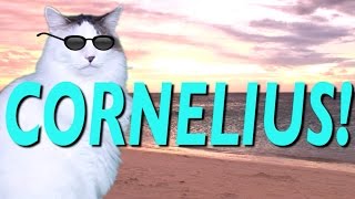 Happy Birthday Cornelius - Epic Cat Happy Birthday Song