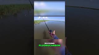 New Fishing Reel Perfect For Heavy Braid & Redfish