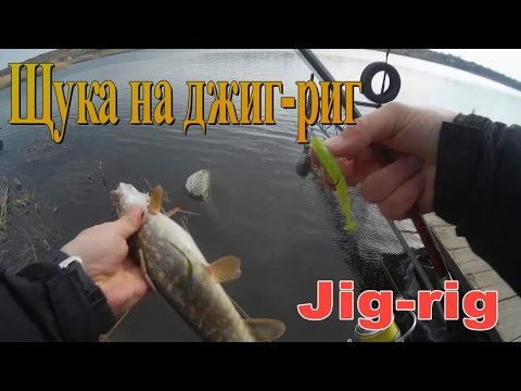 диалоги о рыбалке на джиг диалоги о рыбалке на джиг