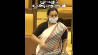 Veena George Troll Video Veena Georgeminister Of Health Malayalam News