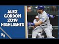 Alex Gordon 2019 Highlights