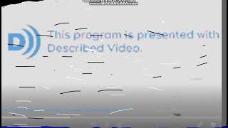 Ctv Walmart Channel Described Video Bumper
