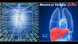 Corus - Muzică Și Terapie - Ficatul Music And Therapy - The Liver