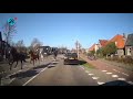 Paarden losgeslagen in Heiloo