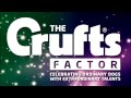Crufts Factor 2013