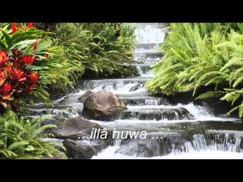 Despierta Mirabai Ceiba