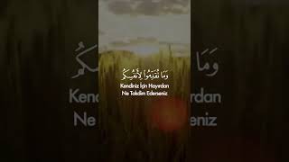 Müzemmil Suresi 20. Ayet Abdurrahman Mesud