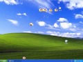 Scherzi per pc - sheep