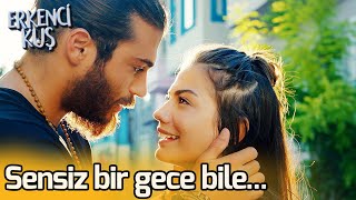 Sensiz Bir Gece Bile... Erkenci Kuş