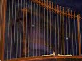 harp