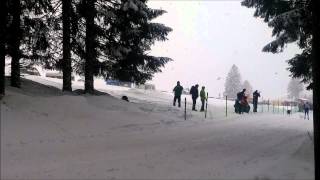 2015 Ifss Sleddog World Championships Compilation