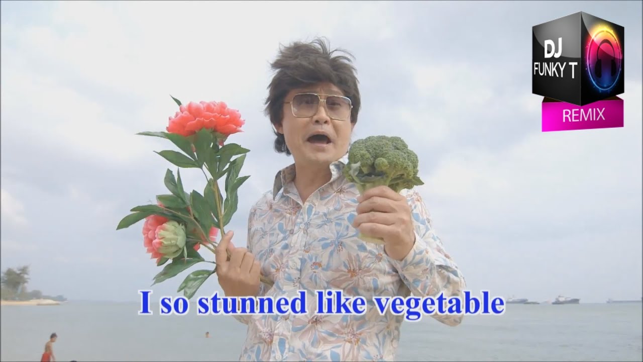 Chen Tianwen vs Kesha - Unbelievable Timber (DJ Funky T Remix.