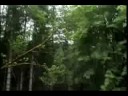 Flake music video first half