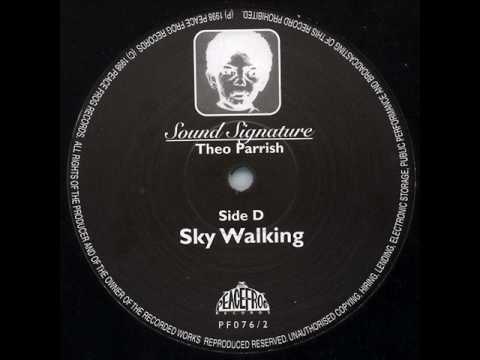 Theo Parrish - Sky Walking